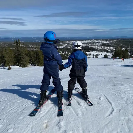 Tur & Ski - 2 Sov - Elbillader - 60 Min Osl Guest house 3*